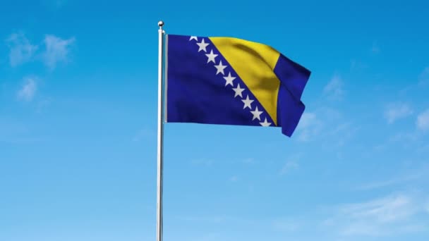 Высокий Детальный Флаг Боснии Герцеговины Флаг Боснии Герцеговины Европе Render — стоковое видео