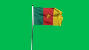 Yüksek detaylı Kamerun bayrağı. Ulusal Kamerun bayrağı. Afrika. 3B illüstrasyon.