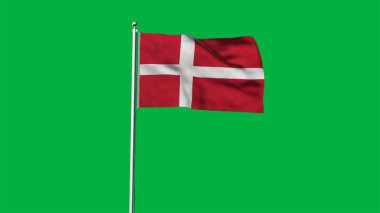 Danimarka bayrağı çok detaylı. Ulusal Danimarka bayrağı. Avrupa. 3B illüstrasyon.