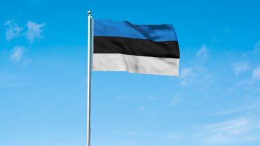 High detailed flag of Estonia. National Estonia flag. Europe. 3D illustration.