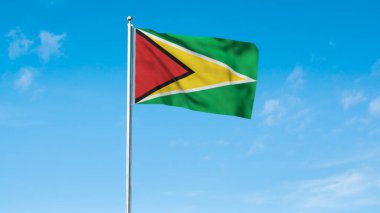 Guyana 'nın yüksek detaylı bayrağı. Ulusal Guyana bayrağı. Güney Amerika. 3B illüstrasyon.