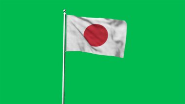 Yüksek detaylı Japonya bayrağı. Ulusal Japonya bayrağı. Asya. 3B illüstrasyon.