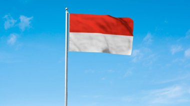 Endonezya 'nın yüksek detaylı bayrağı. Ulusal Endonezya bayrağı. Asya. 3B illüstrasyon.