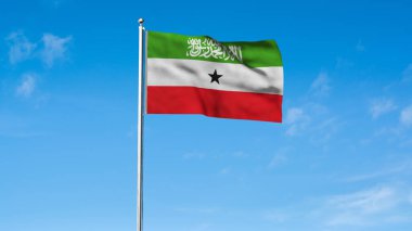 Yüksek detaylı Somaliland bayrağı. Ulusal Somaliland bayrağı. 3B illüstrasyon.