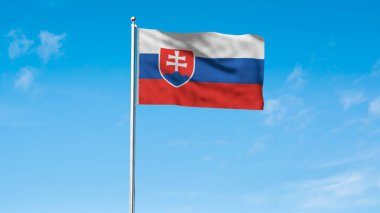 Slovakya 'nın yüksek detaylı bayrağı. Ulusal Slovakya bayrağı. Avrupa. 3B illüstrasyon.