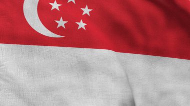 High detailed flag of Singapore. National Singapore flag. Asia. 3D illustration.