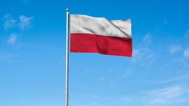 Polonya bayrağı. Ulusal Polonya bayrağı. Avrupa. 3B illüstrasyon.