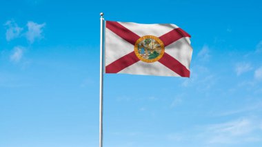 Florida 'nın yüksek detaylı bayrağı. Florida eyalet bayrağı, Florida bayrağı. Florida eyaleti bayrağı. ABD. Amerika. 3B Görüntü