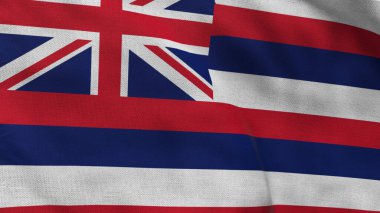 Hawaii 'nin yüksek detaylı bayrağı. Hawaii eyalet bayrağı, Hawaii bayrağı. Hawaii bayrağı. ABD. Amerika. 3B Görüntü