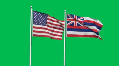 Hawaii ve Amerikan Bayrağı birlikte. Hawaii ve ABD 'nin yüksek detaylı dalgalanan bayrağı. Hawaii eyalet bayrağı. ABD. 3B Görüntü.