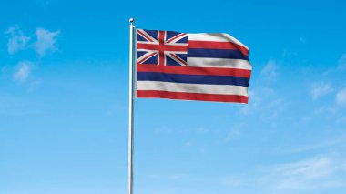Hawaii 'nin yüksek detaylı bayrağı. Hawaii eyalet bayrağı, Hawaii bayrağı. Hawaii bayrağı. ABD. Amerika. 3B Görüntü