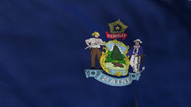 Maine 'in yüksek detaylı bayrağı. Maine eyalet bayrağı, Ulusal Maine bayrağı. Maine bayrağı. ABD. Amerika. 3B Görüntü