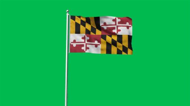 Maryland 'in yüksek detaylı bayrağı. Maryland eyalet bayrağı, Ulusal Maryland bayrağı. Maryland eyaleti bayrağı. ABD. Amerika. 3B Görüntü