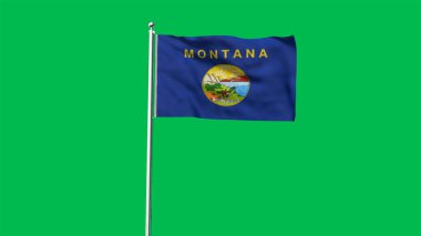 Montana 'nın yüksek detaylı bayrağı. Montana eyalet bayrağı, Ulusal Montana bayrağı. Montana bayrağı. ABD. Amerika. 3B Görüntü