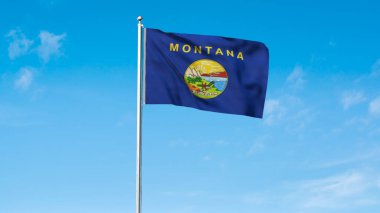 Montana 'nın yüksek detaylı bayrağı. Montana eyalet bayrağı, Ulusal Montana bayrağı. Montana bayrağı. ABD. Amerika. 3B Görüntü