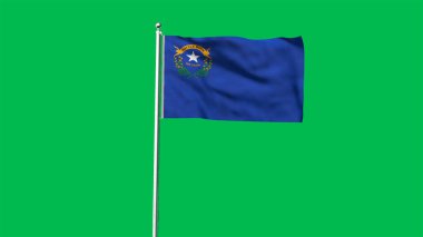 Nevada 'nın yüksek detaylı bayrağı. Nevada bayrağı, Ulusal Nevada bayrağı. Nevada eyaleti bayrağı. ABD. Amerika. 3B Görüntü