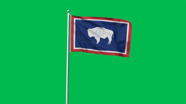 Wyoming 'in yüksek detaylı bayrağı. Wyoming eyalet bayrağı, Ulusal Wyoming bayrağı. Wyoming bayrağı. ABD. Amerika. 3B Görüntü