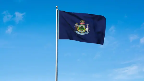 stock image High detailed flag of Maine. Maine state flag, National Maine flag. Flag of state Maine. USA. America. 3D Illustration