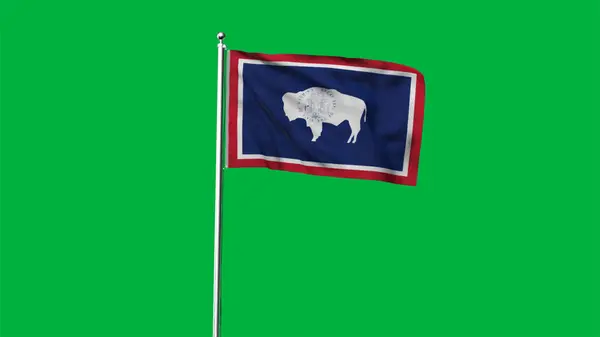 stock image High detailed flag of Wyoming. Wyoming state flag, National Wyoming flag. Flag of state Wyoming. USA. America. 3D Illustration