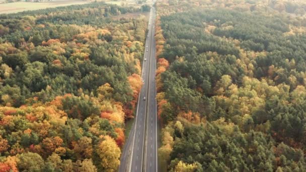 Sonbahar Renkleriyle Çevrili Güzel Ormanla Çevrili Iki Şeritli Yolun Hava — Stok video