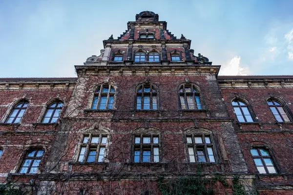 Polonya 'da süslü camları ve sarmaşıkları olan tarihi kırmızı tuğla bina, aşağıdan dramatik bir simetri ile izleniyor