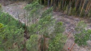 Yeşillik ve temiz bölge arasında orman yolunda koşan bir grup insan.