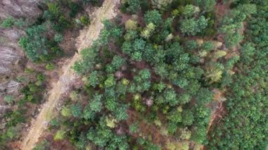 Baharın başındaki karışık ormanın havadan görünüşü. Döndürme ile sinematik yukarıdan aşağı görüntü