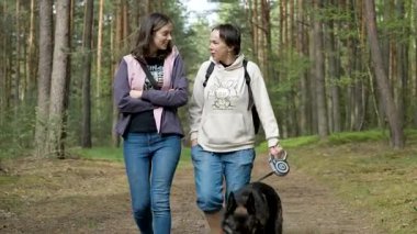 Polonya 'da orman yolunda köpeğini gezdiren iki kadın bahar ormanlık alanda sohbet ve eğlencenin tadını çıkarıyorlar.