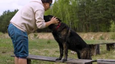Ormanla çevrili bir çayırda Alman çoban köpeğiyle bağ kuran bir kadın. Açık hava dostluğu