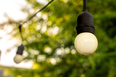 Bokeh manzaralı açık hava bahçe ışıkları, altın saatinde yapraklı doğal arka planda asılı.