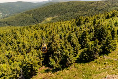 Spruce Ormanı 'nın üstündeki teleferik manzarası yaz günü dağlık bir arazide, doğa manzaralı bir yolculuk.