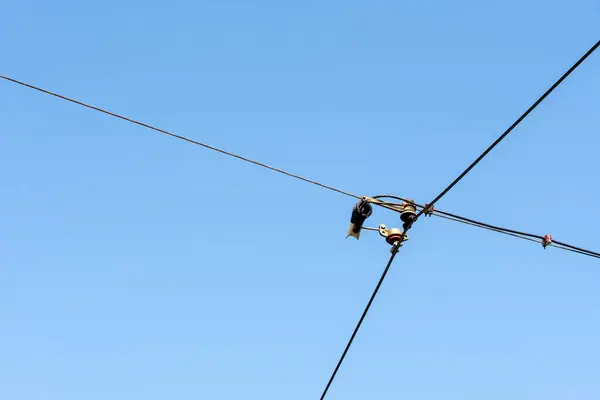 Tramvay ya da tramvay güç kablosu açık mavi gökyüzüne karşı toplu taşıma altyapısına odaklanan minimal bileşim