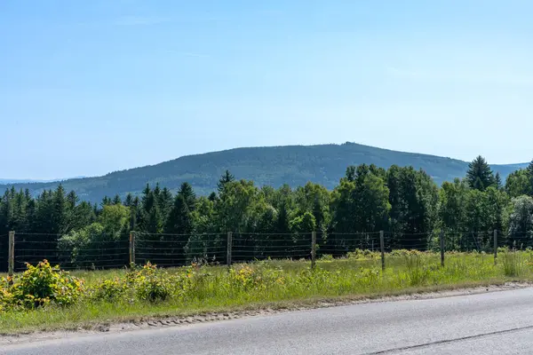 Manzaralı orman ve yol kenarındaki çitlerin arkasındaki uzak sıradağ berrak gökyüzü altında kırsal doğa ve huzurlu manzarayı gözler önüne seriyor.