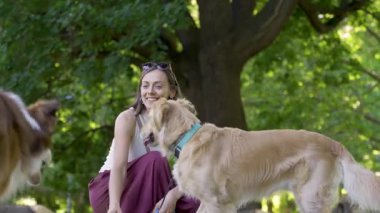 Genç bir kadın gölgeli bir parkta, büyük bir ağacın altında diz çöküp Golden Retriever 'ını okşamaya ve Collie' yi sınıra getirmeye çalışıyor. Nazik kamera yavaş çekim eğilimi, neşeli köpek etkileşimini ve sakin yaz mevsiminde açık havada arkadaşlığı vurgular..