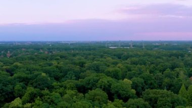 İnsansız hava aracı, alacakaranlıkta sık bir orman tepe örtüsünün üzerine eğilip yeşil ağaç tepelerinden pembe renkli bir ufka kadar olan eğimi yakalıyor. Hava dizisi orman ekosistem dinamiklerinin korunmasını vurguluyor.
