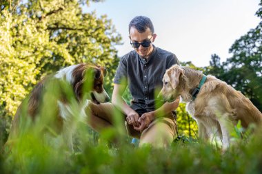 Önünde iki köpekle çimenlerin üzerinde diz çöken bir adam, yemyeşil ağaçlar ve yeşil doğa ile çevrili güneşli parkta evcil hayvanlarla etkileşime geçiyor.