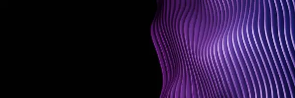 Yan tarafında siyah fotokopi alanı olan modern stil tasarımı için mor eğri çizgiler