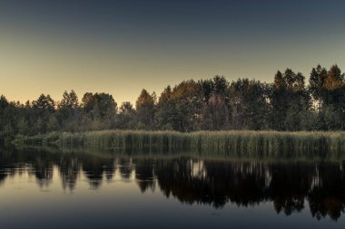 Ağaçların arkasında gün batımı. Akşamları nehirde