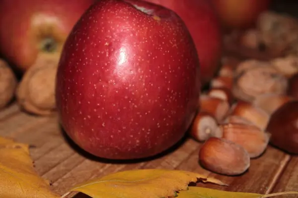 Sonbaharda hasattan sonra elma