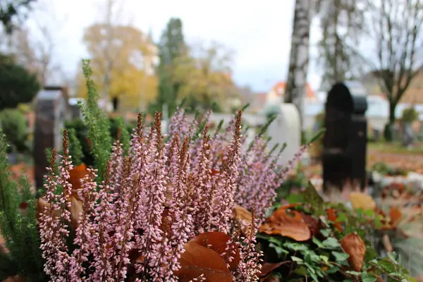 Almanya, Metzingen 'deki eski mezarlık