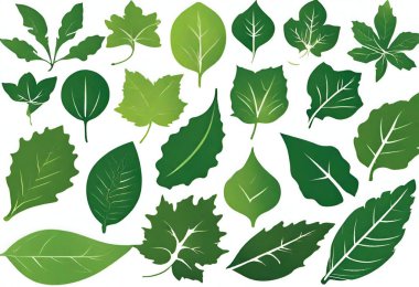 Beyaz arka plan, vektör çizim üzerinde yeşil yaprakların ayarla