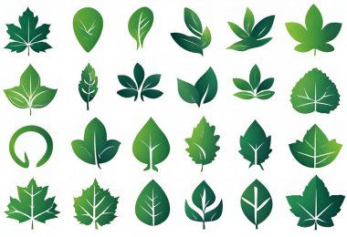 Yaprak kümesi, vektör, illüstrasyon