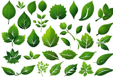 Beyaz arka planda yeşil yapraklar. vektör illüstrasyonu.