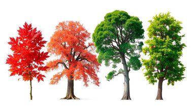 Yaban kedisi portresi, görüntü kalitesi yüksek, yakın çekim renklendirilmiş