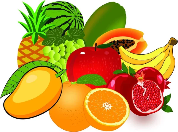 Elma, Portakal, Karpuz, Mango, Muz, Ananas, Papaya, Üzüm, Nar 'ın taze meyvelerinin vektör çizimi