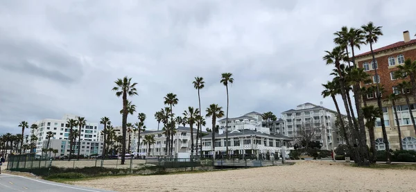 Venice Beach, California, palm tree photography, sunny day, beachfront architecture