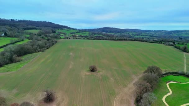 Tranquilidad Panorama Aéreo Árbol Medio Tierras Cultivo Agua Bajo Cielos — Vídeos de Stock
