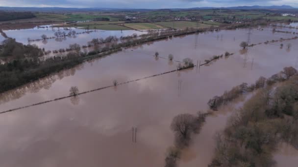 俯瞰被淹没的树木和淹没的田野的洪水景观的空中景观 展示了极端天气的影响 — 图库视频影像