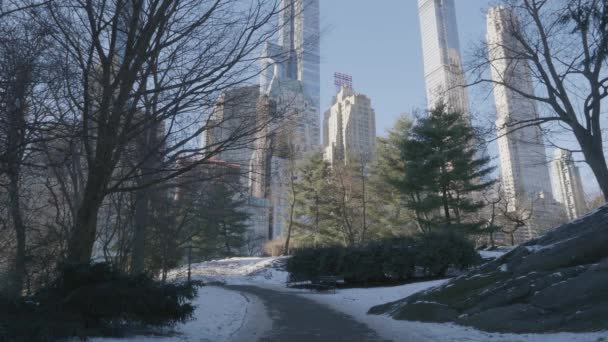 Tiro Nova York Com Neve Chão Arranha Céus Fundo — Vídeo de Stock