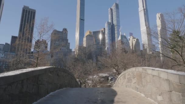 Tiro Nova York Com Neve Chão Arranha Céus Fundo — Vídeo de Stock